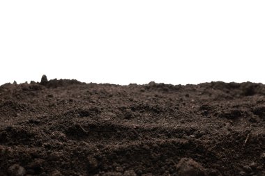 Beyaz arka planda izole edilmiş bitkiler için kara toprak. Boşluğu kopyala.