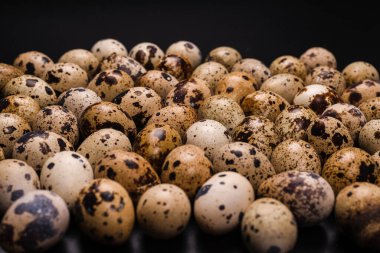 Arka plan olarak bir grup bıldırcın yumurtası. Çiğ yumurta..