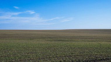 Arkaplan olarak sürülmüş tarla ve mavi gökyüzü. 