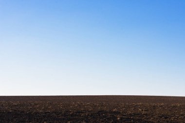 Arkaplan olarak sürülmüş tarla ve mavi gökyüzü. 