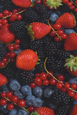 Blackberry, ahududu, yabanmersini, fonda kırmızı frenk üzümü. Üst görünüm. 