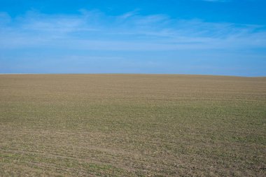 Arkaplan olarak sürülmüş tarla ve mavi gökyüzü. 
