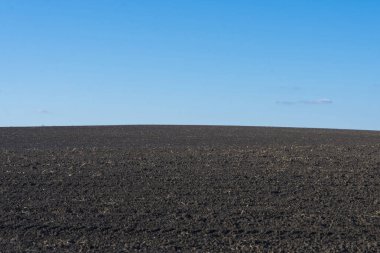 Arkaplan olarak sürülmüş tarla ve mavi gökyüzü. 
