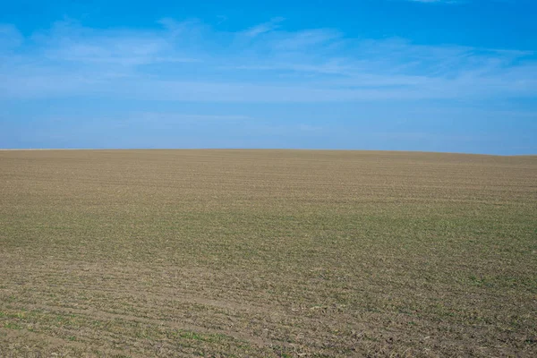 Arkaplan olarak sürülmüş tarla ve mavi gökyüzü. 