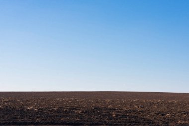 Arkaplan olarak sürülmüş tarla ve mavi gökyüzü. 