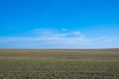 Arkaplan olarak sürülmüş tarla ve mavi gökyüzü. 