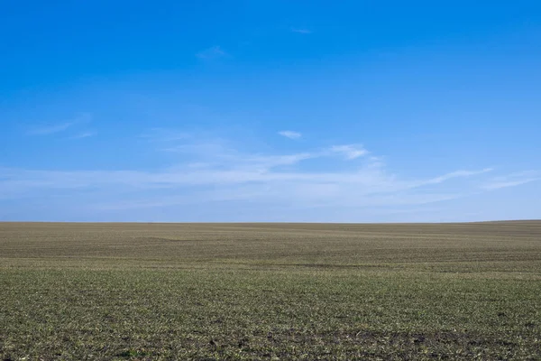 Arkaplan olarak sürülmüş tarla ve mavi gökyüzü. 