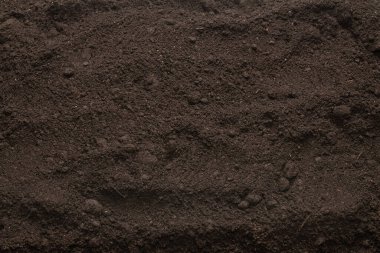 Bitkiler için kara toprak. Üst görünüm. 