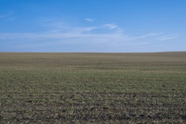 Arkaplan olarak sürülmüş tarla ve mavi gökyüzü. 