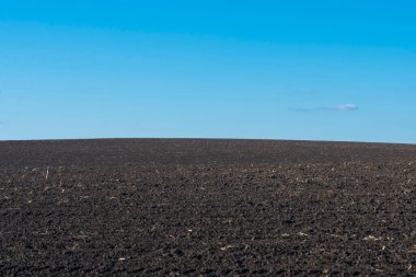 Arkaplan olarak sürülmüş tarla ve mavi gökyüzü. 