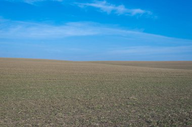 Arkaplan olarak sürülmüş tarla ve mavi gökyüzü. 
