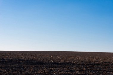Arkaplan olarak sürülmüş tarla ve mavi gökyüzü. 
