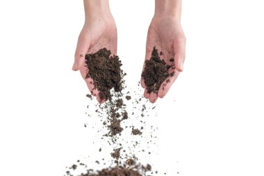 Kadınların elindeki kahverengi toprak beyaz arka planda izole edilmiş. Toprak elimizden kayıp gidiyor..