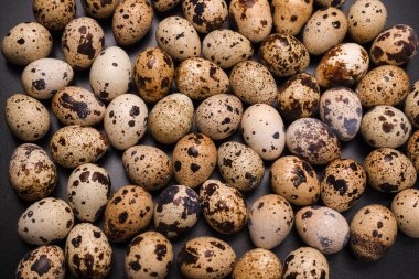 Arka plan olarak bir grup bıldırcın yumurtası. Çiğ yumurta..