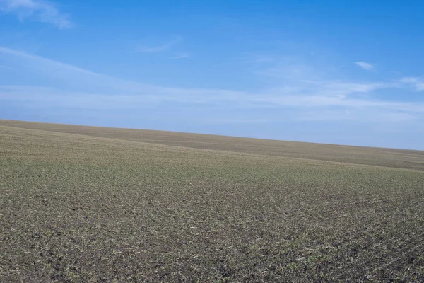 背景としての耕起畑と青空 — ストック写真