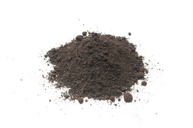 Beyaz arka planda izole edilmiş bitkiler için kara toprak. Yer deseni.