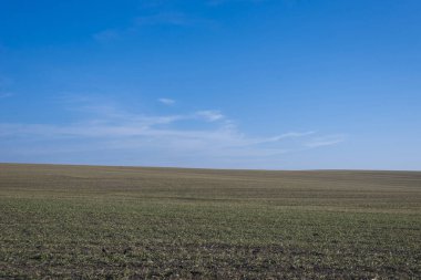 Arkaplan olarak sürülmüş tarla ve mavi gökyüzü. 