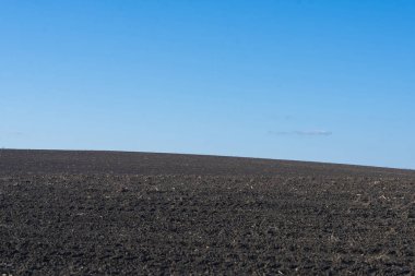 Arkaplan olarak sürülmüş tarla ve mavi gökyüzü. 