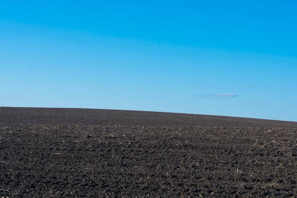 Arkaplan olarak sürülmüş tarla ve mavi gökyüzü. 