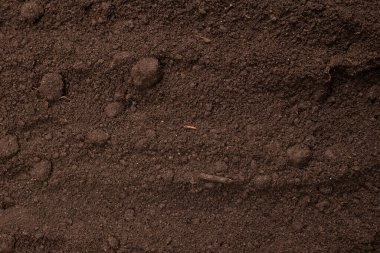 Bitkiler için kara toprak. Üst görünüm. 