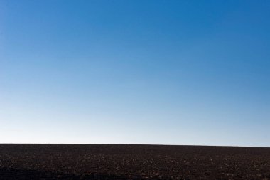Arkaplan olarak sürülmüş tarla ve mavi gökyüzü. 