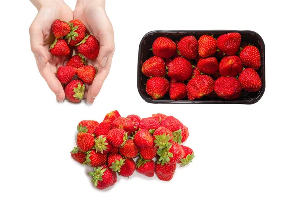 Fraise Maintenue Dans Des Mains Isolées Sur Fond Blanc — Photo