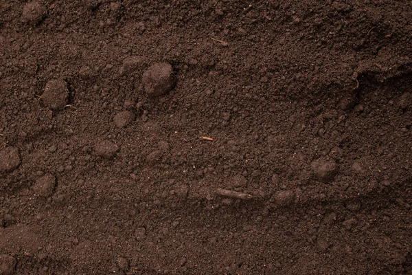 Bitkiler için kara toprak. Üst görünüm. 