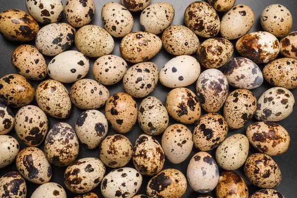 Arka plan olarak bir grup bıldırcın yumurtası. Çiğ yumurta..