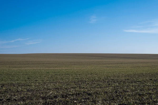 Gepflügtes Feld Und Blauer Himmel Als Hintergrund — Stockfoto