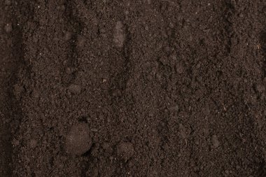 Bitkiler için kara toprak. Üst görünüm. 