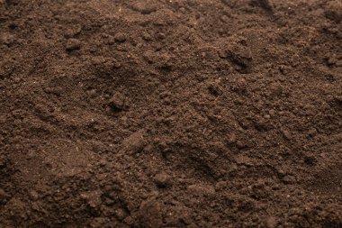 Bitkiler için kara toprak. Üst görünüm. 