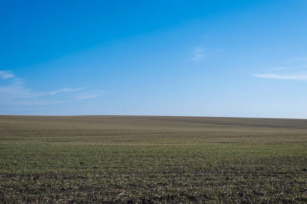 Arkaplan olarak sürülmüş tarla ve mavi gökyüzü. 