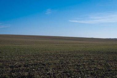 Arkaplan olarak sürülmüş tarla ve mavi gökyüzü. 