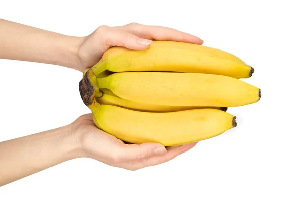 Ein Bündel Bananen Frauenhand Isoliert Auf Weißem Hintergrund — Stockfoto