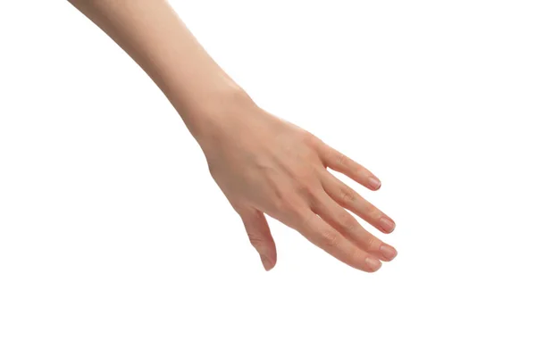 Рука Женщины Белом Фоне — стоковое фото