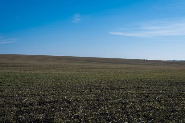 Arkaplan olarak sürülmüş tarla ve mavi gökyüzü. 