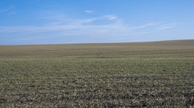 Arkaplan olarak sürülmüş tarla ve mavi gökyüzü. 