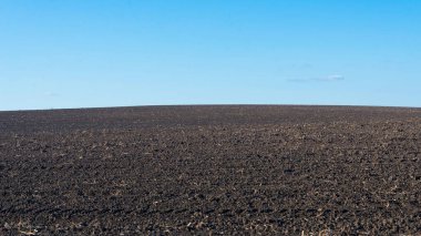 Arkaplan olarak sürülmüş tarla ve mavi gökyüzü. 