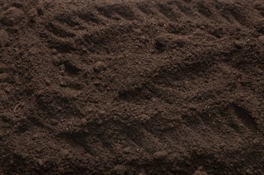Bitkiler için kara toprak. Üst görünüm. 