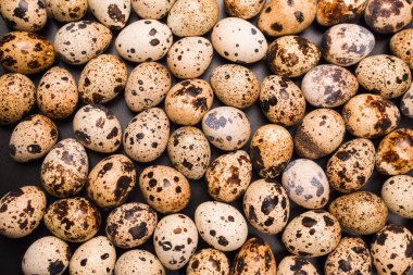 Arka plan olarak bir grup bıldırcın yumurtası. Çiğ yumurta..