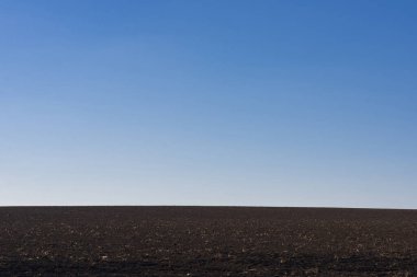 Arkaplan olarak sürülmüş tarla ve mavi gökyüzü. 