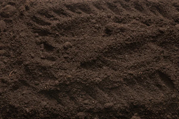 Bitkiler için kara toprak. Üst görünüm. 