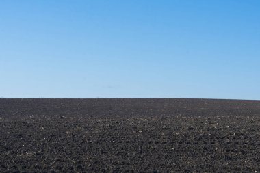 Arkaplan olarak sürülmüş tarla ve mavi gökyüzü. 