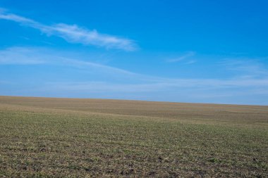 Arkaplan olarak sürülmüş tarla ve mavi gökyüzü. 