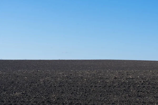 Arkaplan olarak sürülmüş tarla ve mavi gökyüzü. 