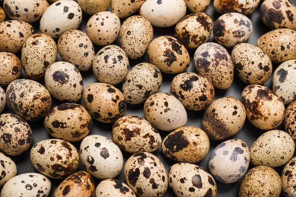 Arka plan olarak bir grup bıldırcın yumurtası. Çiğ yumurta..