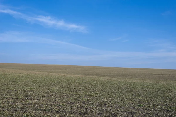 Arkaplan olarak sürülmüş tarla ve mavi gökyüzü. 