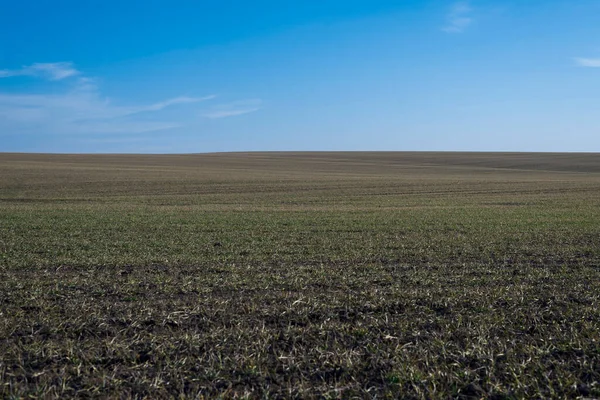 Arkaplan olarak sürülmüş tarla ve mavi gökyüzü. 