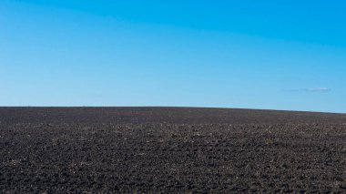 Arkaplan olarak sürülmüş tarla ve mavi gökyüzü. 