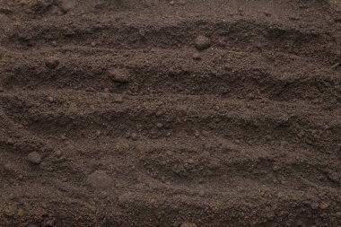 Bitkiler için kara toprak. Üst görünüm. 